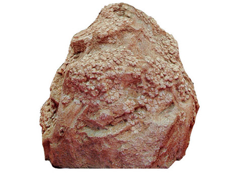 Sculpture Decoration