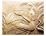 Decorative Mural