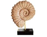 Sculpture Decoration