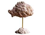 Sculpture Decoration